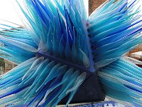 DSC00191