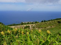 DSC02597