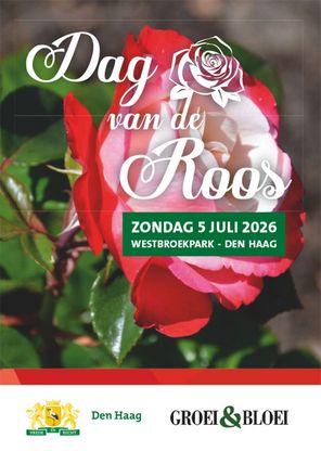 Dag van de Roos