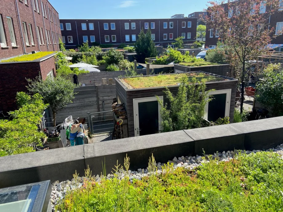 Vergroenen dakterras buurthuis Bario